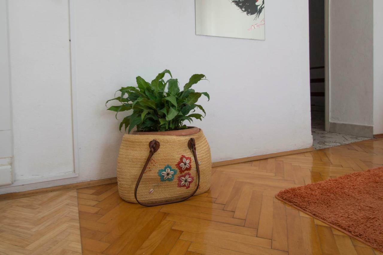 Studios Bacic Vela Luka Buitenkant foto
